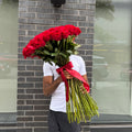 Long Stem Rose Bouquet 25|50|75|100