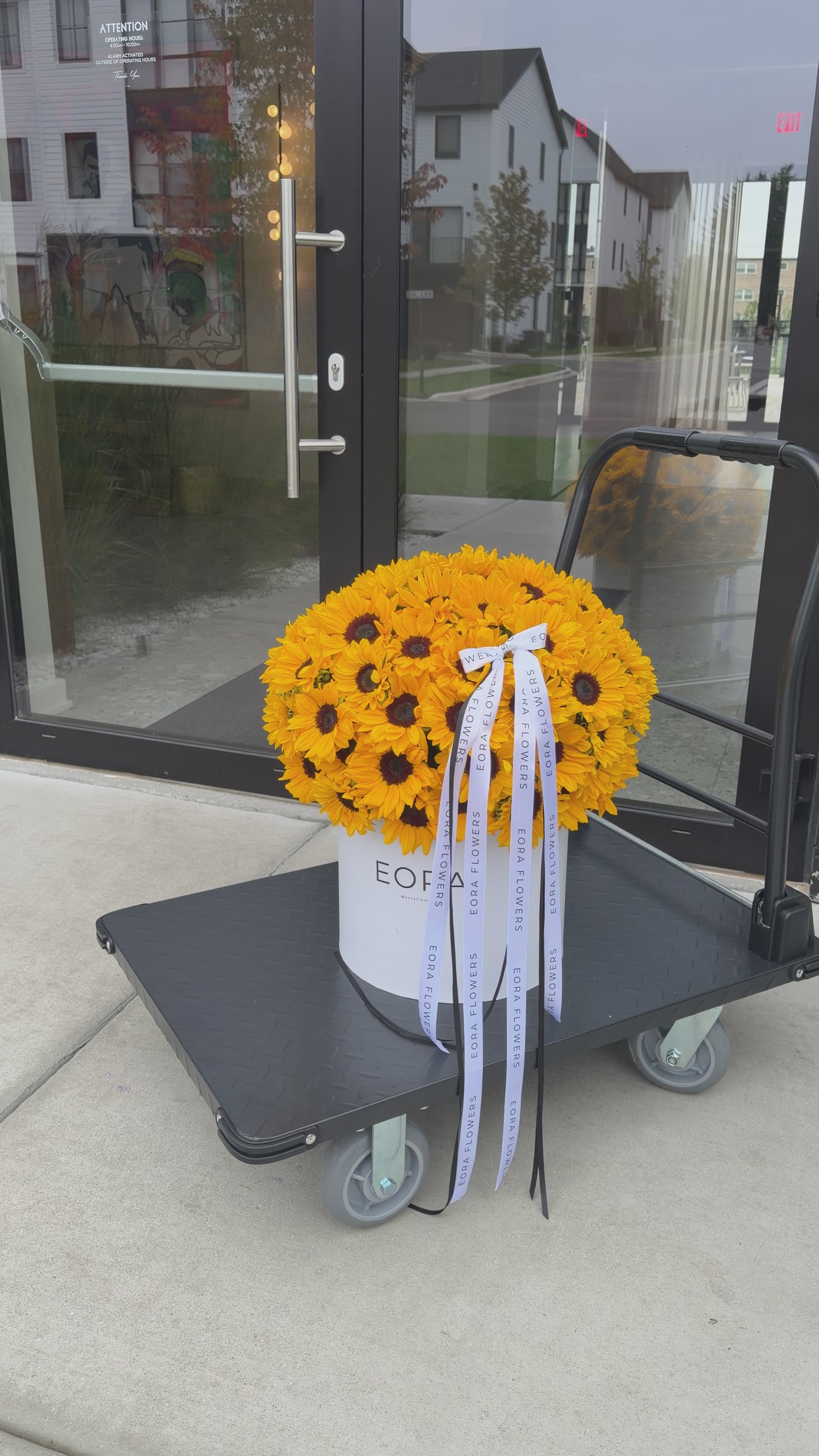 Sunflower EORA Box